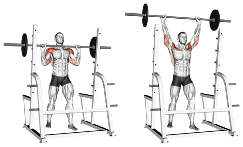 Standing overhead press barbell shop